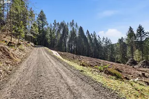 0 NW Green Mountain Rd, Banks, OR 97106 - Photo 34