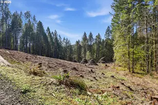 0 NW Green Mountain Rd, Banks, OR 97106 - Photo 16