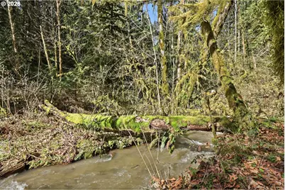0 NW Green Mountain Rd., Banks, OR 97106 - Photo 22