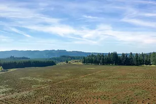 21000 NE Strawberry Flats Ln, Scotts Mills, OR 97375 - Photo 18