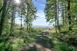 21000 NE Strawberry Flats Ln, Scotts Mills, OR 97375 - Photo 24