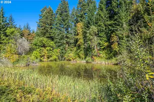 21000 NE Strawberry Flats Ln, Scotts Mills, OR 97375 - Photo 28