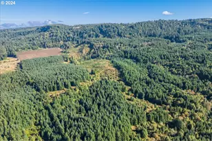 21000 NE Strawberry Flats Ln, Scotts Mills, OR 97375 - Photo 30