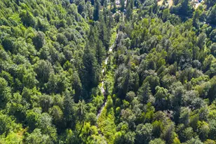 29990 SE Knox Rd, Boring, OR 97009 - Photo 6