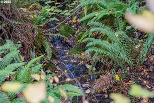 4204 Riverdale Rd S, Salem, OR 97302 - Photo 26