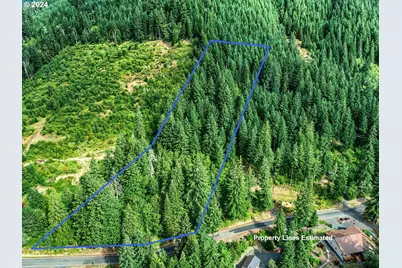 Bear Creek Rd, Carson, WA 98610 - Photo 4