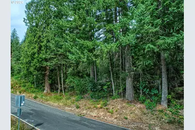 Bear Creek Rd, Carson, WA 98610 - Photo 6