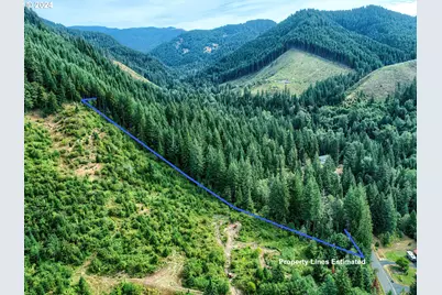 Bear Creek Rd, Carson, WA 98610 - Photo 8