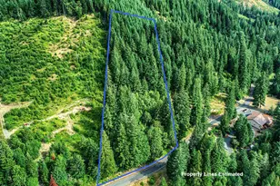 Bear Creek Rd, Carson, WA 98610 - Photo 1