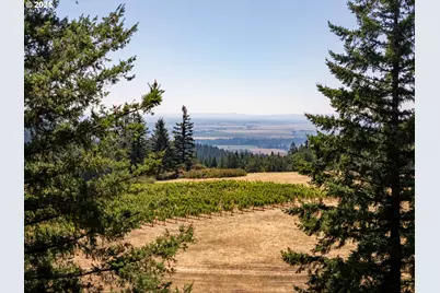0 NE Old Parrett Mountain Rd, Newberg, OR 97132 - Photo 26