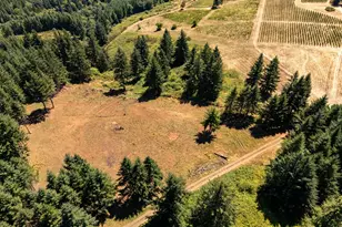 0 NE Old Parrett Mountain Rd, Newberg, OR 97132 - Photo 36