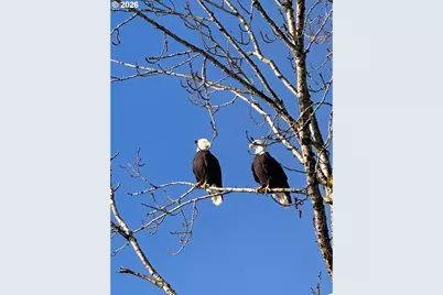 2142 S River Rd, Kelso, WA 98626 - Photo 12