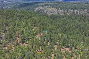 51 Thompson Trail, Goldendale, WA 98620 - Photo 42