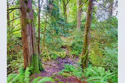 1002 NW 189th St, Ridgefield, WA 98642 - Photo 46