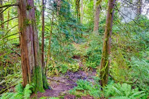 1002 NW 189th St, Ridgefield, WA 98642 - Photo 46