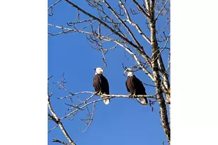 2064 S River Rd, Kelso, WA 98626 - Photo 18