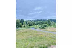 67640 Neverstill Rd, Birkenfeld, OR 97016 - Photo 26