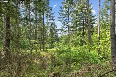 Nw Pumpkin Ridge Rd #400, North Plains, OR 97133 - Photo 12