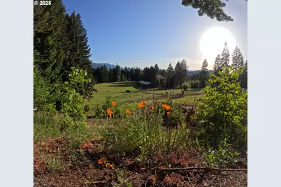 162 Bylin Rd, Stevenson, WA 98648 - Photo 8