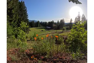 162 Bylin Rd, Stevenson, WA 98648 - Photo 8