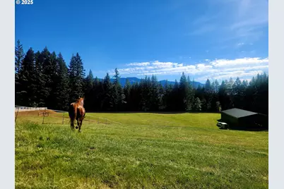 162 Bylin Rd, Stevenson, WA 98648 - Photo 4