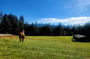 162 Bylin Rd, Stevenson, WA 98648 - Photo 4