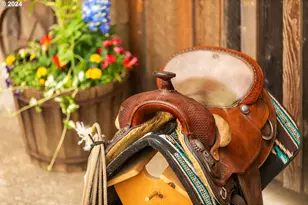 162 Bylin Rd, Stevenson, WA 98648 - Photo 30