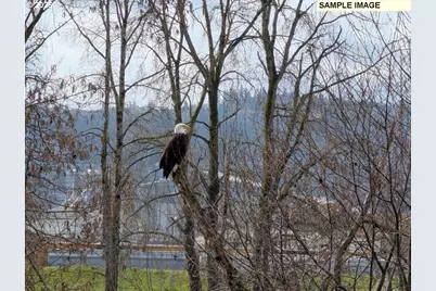 2060 S River Rd, Kelso, WA 98626 - Photo 4