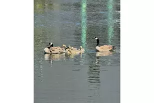 160 Hilltop Dr, Lakeside, OR 97449 - Photo 38