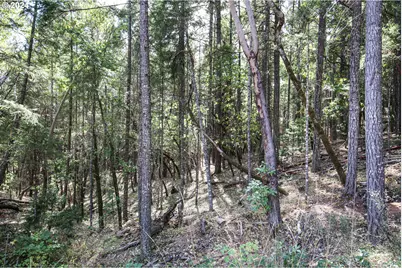Quartz Creek Rd, Merlin, OR 97532 - Photo 1