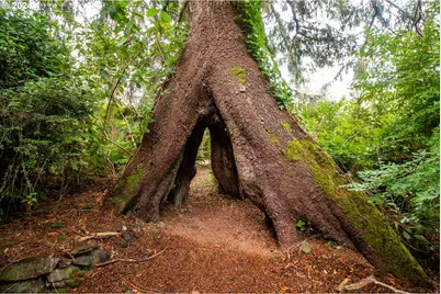 46615 Highway 101, Neskowin, OR 97149 - Photo 38