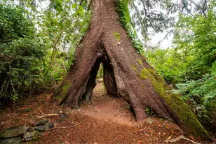 46615 Hwy 101, Neskowin, OR 97149 - Photo 38