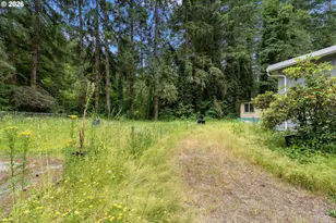 18633 NE 219th St, Battle Ground, WA 98604 - Photo 14