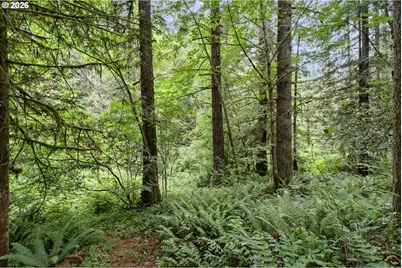 18633 NE 219th St, Battle Ground, WA 98604 - Photo 26