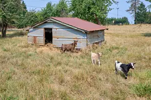 22876 S Hwy 213, Oregon City, OR 97045 - Photo 30