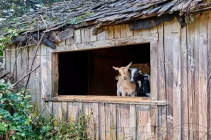 22876 S Hwy 213, Oregon City, OR 97045 - Photo 32