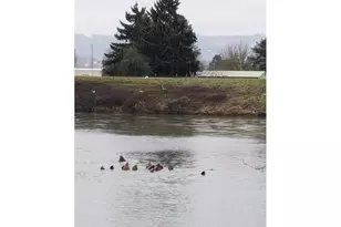 2068 S River Rd, Kelso, WA 98626 - Photo 14