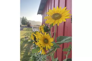 80134 Countryside Rd, Joseph, OR 97846 - Photo 10