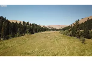 62254 Wallowa Mtn Loop Rd, Joseph, OR 97846 - Photo 6