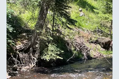 62254 Wallowa Mtn Loop Rd, Joseph, OR 97846 - Photo 24