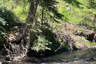 62254 Wallowa Mtn Loop Rd, Joseph, OR 97846 - Photo 24