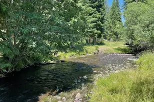 62254 Wallowa Mtn Loop Rd, Joseph, OR 97846 - Photo 16