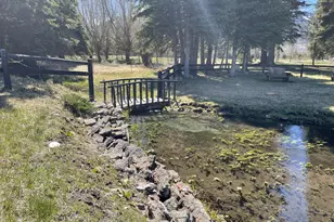 82952 Eggleson Ln, Enterprise, OR 97828 - Photo 4