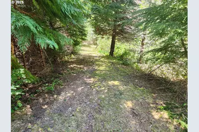 00 Cedar Valley Rd #400, Gold Beach, OR 97444 - Photo 28