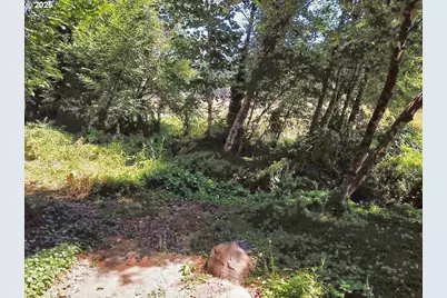 24111 NW Meacham Rd, North Plains, OR 97133 - Photo 22