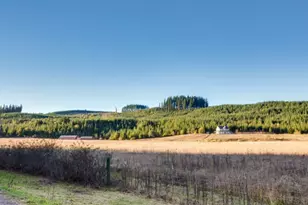 15165 Airport Way, Vernonia, OR 97064 - Photo 32