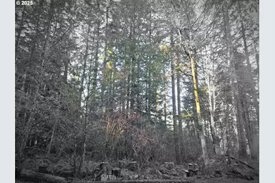 Nw Ranch Dr, Banks, OR 97106 - Photo 16