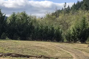 2262 Louis Creek Rd, Myrtle Creek, OR 97457 - Photo 16