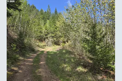 2262 Louis Creek Rd, Myrtle Creek, OR 97457 - Photo 18