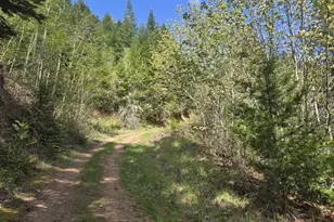 2262 Louis Creek Rd, Myrtle Creek, OR 97457 - Photo 18